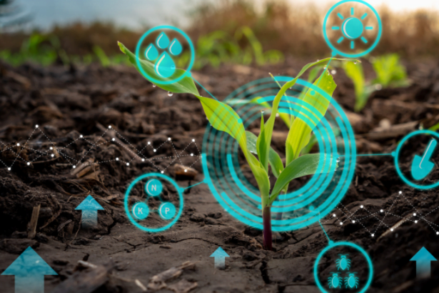 Roberto Luiz da Silva Logrado