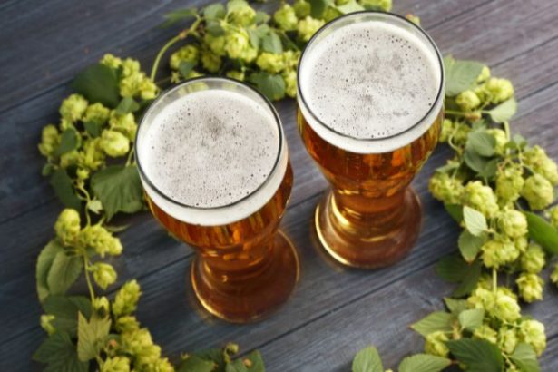 Andre Luiz Veiga Lauria