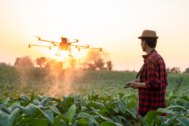 Andrey de Oliveira Pontes