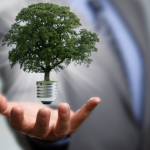 Fernando Trabach analisa o crescimento dos investimentos internacionais em energias renováveis.