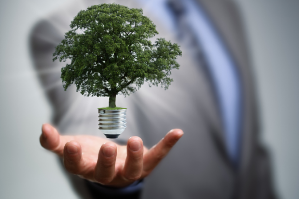 Fernando Trabach analisa o crescimento dos investimentos internacionais em energias renováveis.