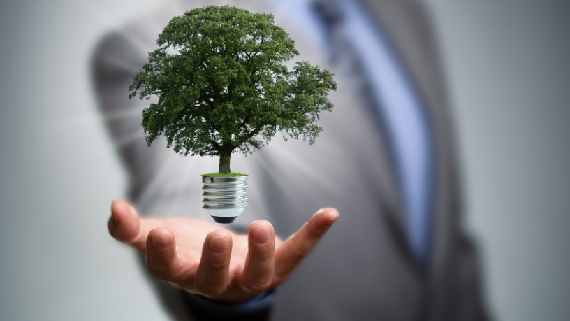 Fernando Trabach analisa o crescimento dos investimentos internacionais em energias renováveis.