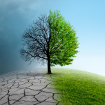 Elias Assum Sabbag Junior analisa como as mudanças climáticas afetam diretamente a saúde pública e exigem respostas urgentes.