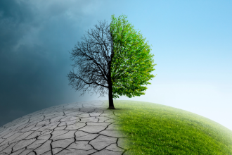 Elias Assum Sabbag Junior analisa como as mudanças climáticas afetam diretamente a saúde pública e exigem respostas urgentes.