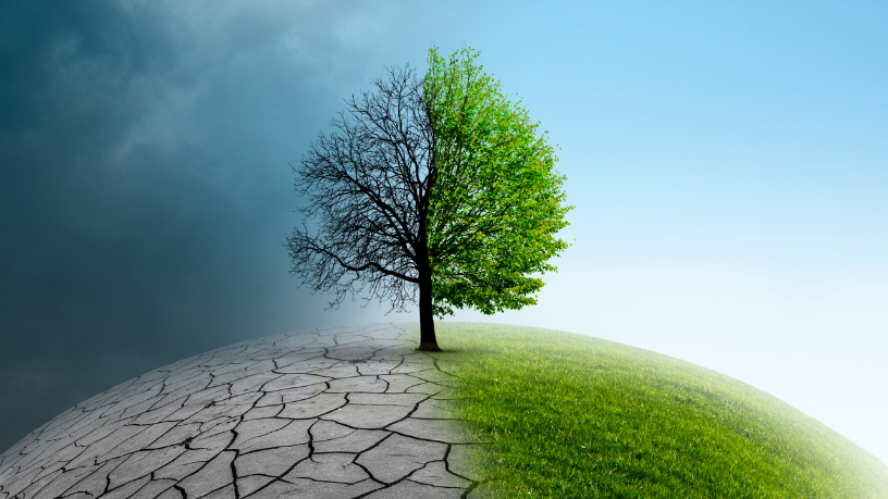 Elias Assum Sabbag Junior analisa como as mudanças climáticas afetam diretamente a saúde pública e exigem respostas urgentes.
