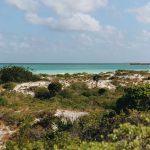 Praia tropical de águas azul-turquesa, cercada por vegetação, sob céu claro.