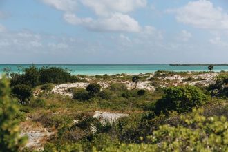 Praia tropical de águas azul-turquesa, cercada por vegetação, sob céu claro.