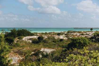 Praia tropical de águas azul-turquesa, cercada por vegetação, sob céu claro.