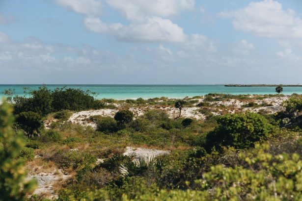 Praia tropical de águas azul-turquesa, cercada por vegetação, sob céu claro.