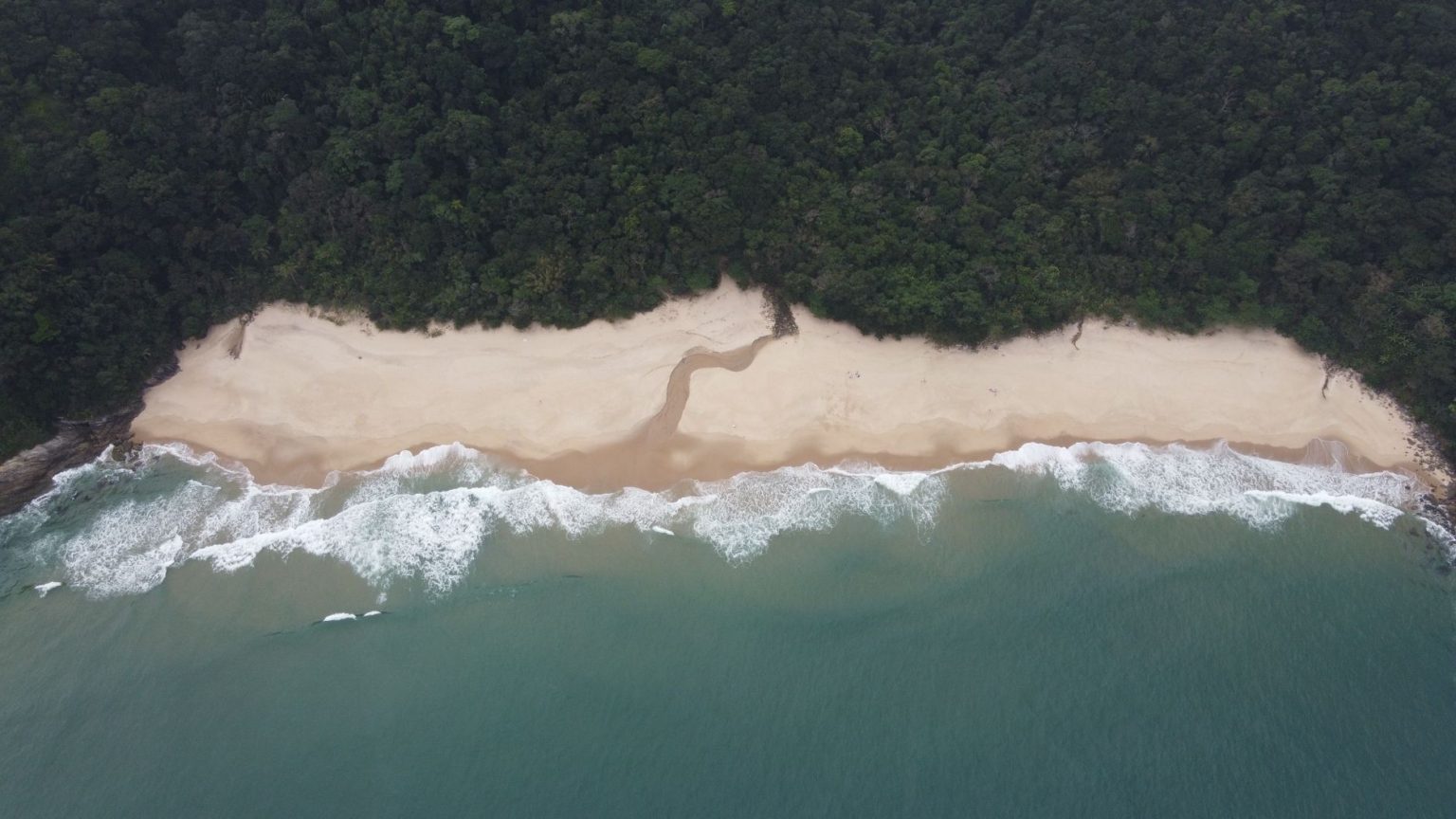 Vista aérea de praia cercada por floresta verde e preservada no litoral de São Paulo.