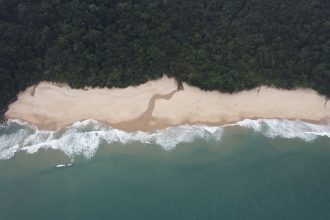 Vista aérea de praia cercada por floresta verde e preservada no litoral de São Paulo.